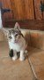 Romy 2026-10-16 at 10.45.42